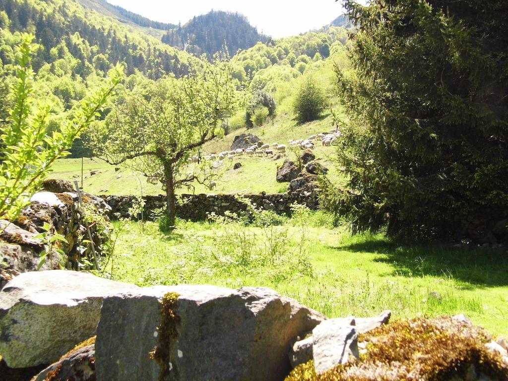 Gite Auberge Les Cascades La Mongie Kültér fotó