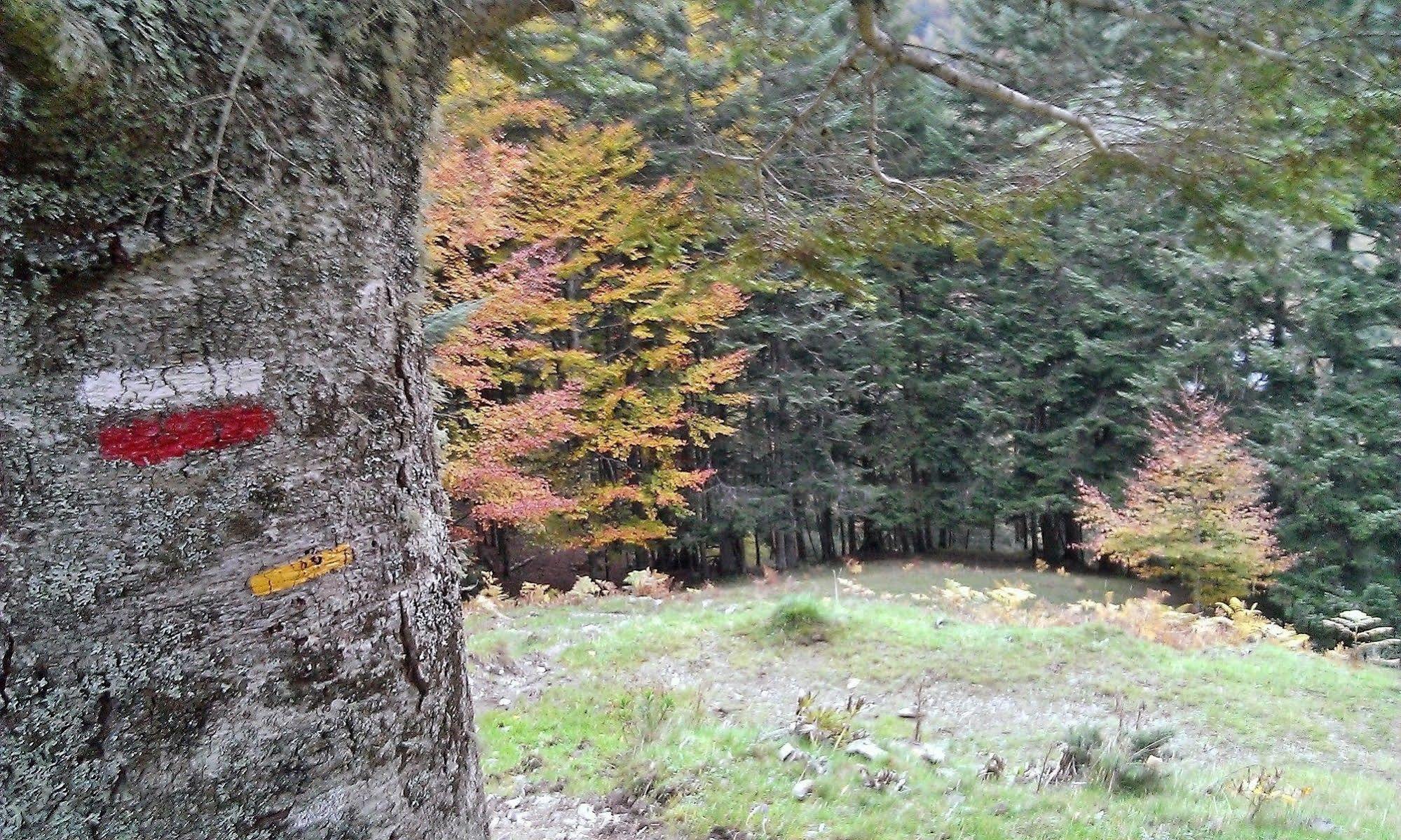 Gite Auberge Les Cascades La Mongie Kültér fotó
